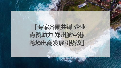 专家齐聚共谋 企业点赞助力 郑州航空港跨境电商发展引热议