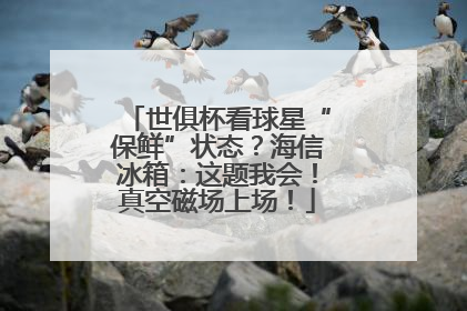 世俱杯看球星“保鲜”状态？海信冰箱：这题我会！真空磁场上场！