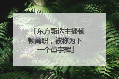 东方甄选主播顿顿离职，被称为下一个董宇辉