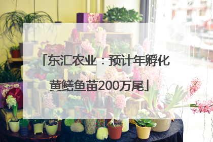 东汇农业：预计年孵化黄鳝鱼苗200万尾
