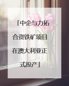中企与力拓合资铁矿项目在澳大利亚正式投产