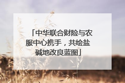 中华联合财险与农服中心携手，共绘盐碱地改良蓝图