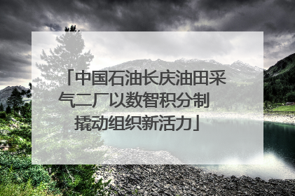 中国石油长庆油田采气二厂以数智积分制 撬动组织新活力