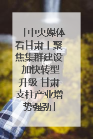 中央媒体看甘肃丨聚焦集群建设 加快转型升级 甘肃支柱产业增势强劲