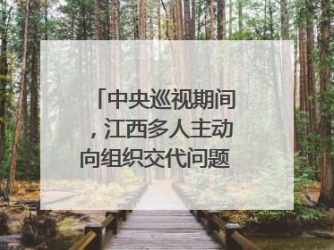 中央巡视期间，江西多人主动向组织交代问题｜打虎拍蝇