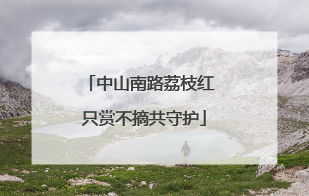 中山南路荔枝红 只赏不摘共守护
