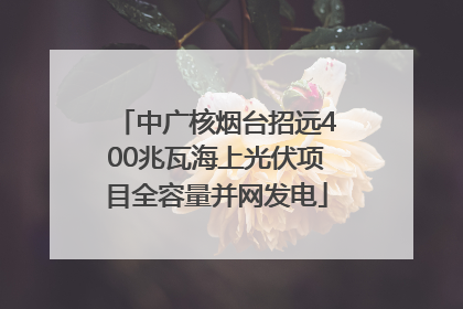 中广核烟台招远400兆瓦海上光伏项目全容量并网发电
