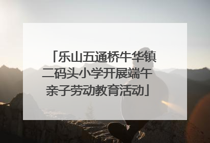 乐山五通桥牛华镇二码头小学开展端午亲子劳动教育活动