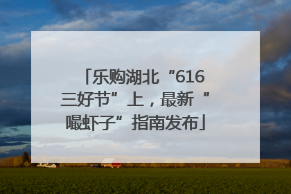 乐购湖北“616三好节”上，最新“嘬虾子”指南发布