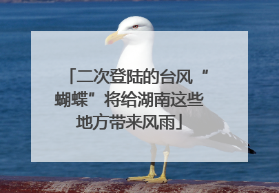 二次登陆的台风“蝴蝶”将给湖南这些地方带来风雨