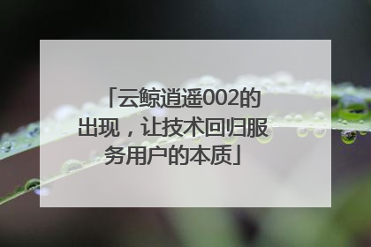 云鲸逍遥002的出现，让技术回归服务用户的本质