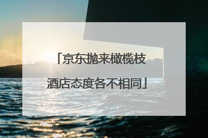 京东抛来橄榄枝 酒店态度各不相同