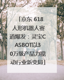 京东 618 人形机器人赛道爆发：灵宝CASBOT以30万级产品力搅动行业新变局
