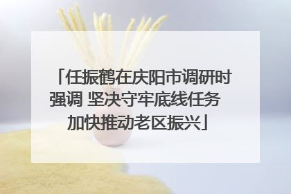 任振鹤在庆阳市调研时强调 坚决守牢底线任务 加快推动老区振兴
