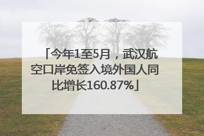 今年1至5月，武汉航空口岸免签入境外国人同比增长160.87%