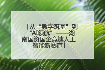 从“数字筑基”到“AI领航”——湖南国资国企竞速人工智能新赛道