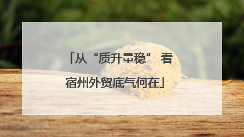 从“质升量稳” 看宿州外贸底气何在