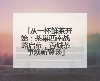 从一杯鲜茶开始：茶巢西南战略启幕，蓉城茶事焕新登场