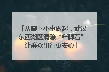 从脚下小事做起，武汉东西湖区清除“绊脚石”让群众出行更安心