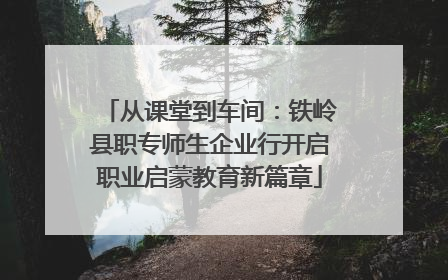 从课堂到车间：铁岭县职专师生企业行开启职业启蒙教育新篇章