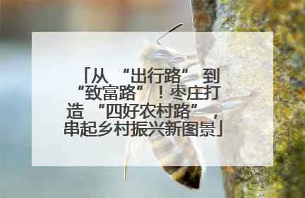 从 “出行路” 到 “致富路”！枣庄打造 “四好农村路”，串起乡村振兴新图景