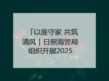 以廉守家 共筑清风｜日照海警局组织开展2025年集中送廉活动