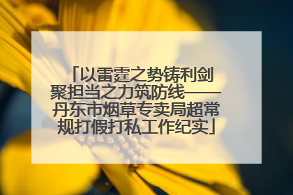 以雷霆之势铸利剑 聚担当之力筑防线——丹东市烟草专卖局超常规打假打私工作纪实