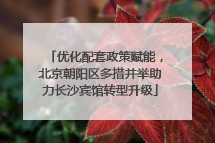 优化配套政策赋能，北京朝阳区多措并举助力长沙宾馆转型升级