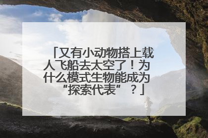 又有小动物搭上载人飞船去太空了！为什么模式生物能成为“探索代表”？
