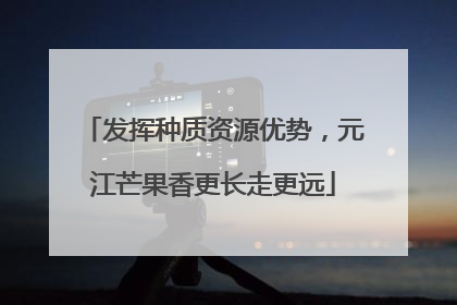 发挥种质资源优势，元江芒果香更长走更远