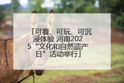 可看、可玩、可沉浸体验 河南2025“文化和自然遗产日”活动举行