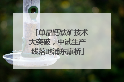 单晶钙钛矿技术大突破，中试生产线落地浦东康桥