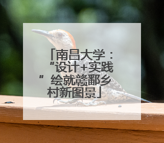 南昌大学：“设计+实践”绘就赣鄱乡村新图景