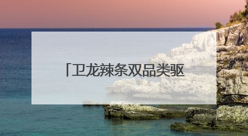 卫龙辣条双品类驱动，领航辣味休闲食品行业千亿赛道
