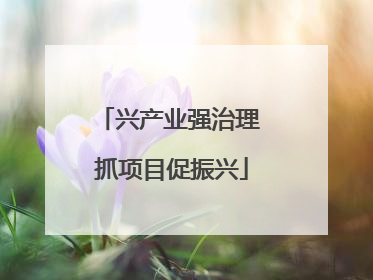 兴产业强治理 抓项目促振兴