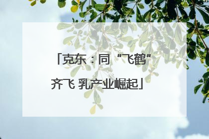 克东：同“飞鹤”齐飞 乳产业崛起