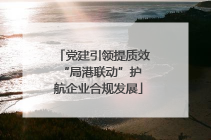 党建引领提质效 “局港联动”护航企业合规发展