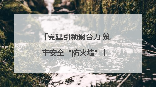 党建引领聚合力 筑牢安全“防火墙”