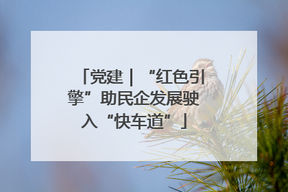 党建｜“红色引擎”助民企发展驶入“快车道”