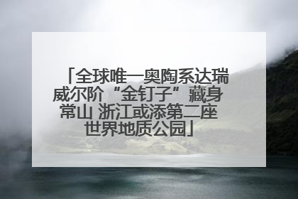 全球唯一奥陶系达瑞威尔阶“金钉子”藏身常山 浙江或添第二座世界地质公园