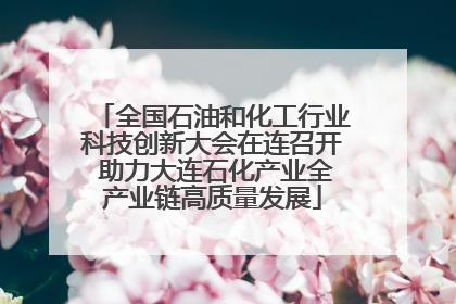 全国石油和化工行业科技创新大会在连召开 助力大连石化产业全产业链高质量发展