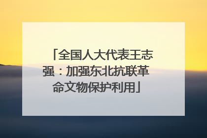 全国人大代表王志强：加强东北抗联革命文物保护利用