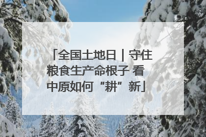 全国土地日｜守住粮食生产命根子 看中原如何“耕”新