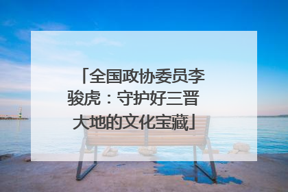 全国政协委员李骏虎：守护好三晋大地的文化宝藏
