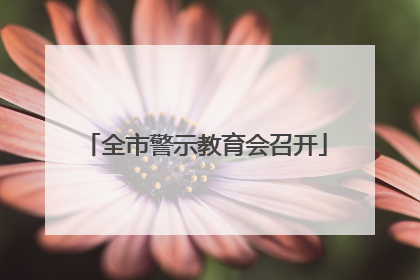 全市警示教育会召开