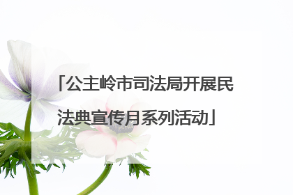 公主岭市司法局开展民法典宣传月系列活动