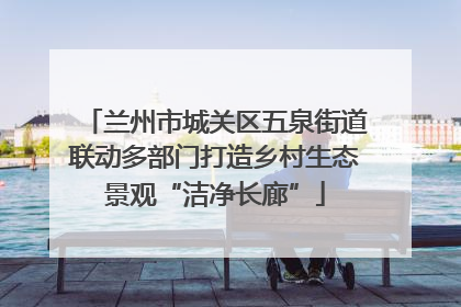 兰州市城关区五泉街道联动多部门打造乡村生态景观“洁净长廊”