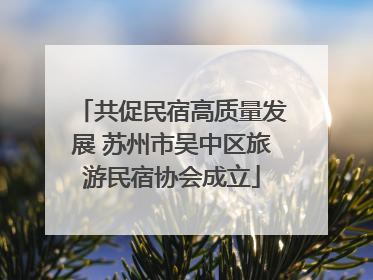共促民宿高质量发展 苏州市吴中区旅游民宿协会成立