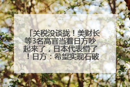 关税没谈拢！美财长等3名高官当着日方吵起来了，日本代表懵了！日方：希望实现石破茂与特朗普的会晤