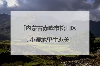 内蒙古赤峰市松山区：小湿地里生态美